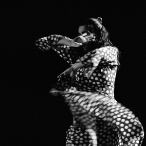 Flamenco Show Costa Brava Girona